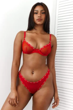 Lounge Underwear Mesh Balcony Bra (Set) - Red Bügel-BH Sets