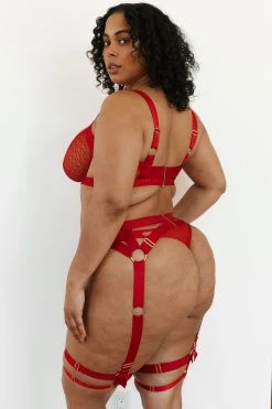 Lounge Underwear Phoenix Intimates Bra (Set) - Red Alle Einkaufen